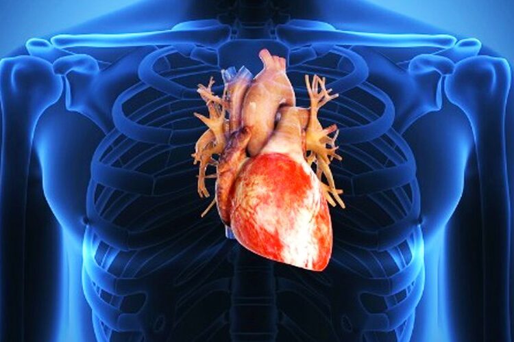 disfunzione-erettile-allerta-per-il-cuore