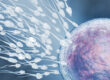 integratore naturale per supportare la fertilità maschile