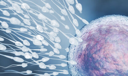 integratore naturale per supportare la fertilità maschile