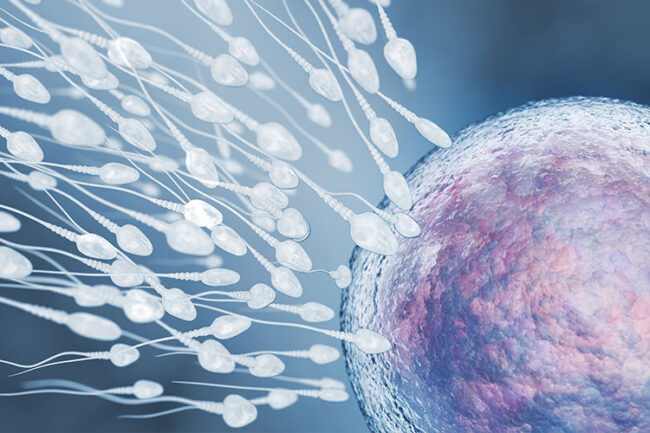 integratore naturale per supportare la fertilità maschile