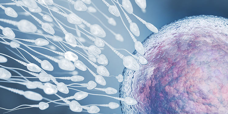 integratore naturale per supportare la fertilità maschile