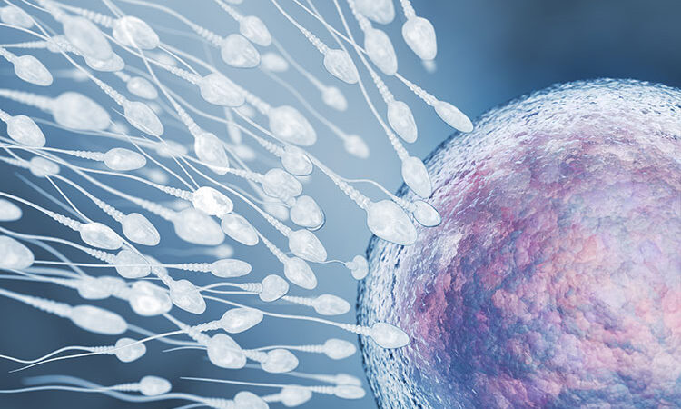 integratore naturale per supportare la fertilità maschile